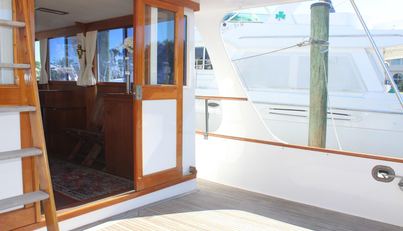 Tortuga Azul For Sale image26