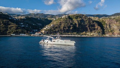 Bad Company Support For Sale image26