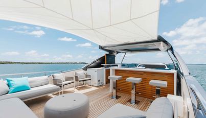 Sasa For Sale image71