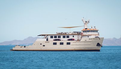 PACIFIC PROVIDER For Sale image1