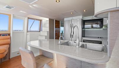 Octopi For Sale image38