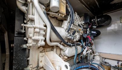 VET BILLZ For Sale image38