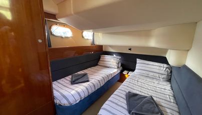 Silver Fox For Sale image29