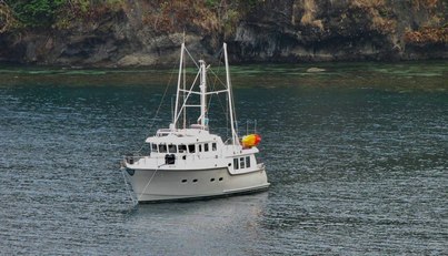 BUNYIP 1 For Sale image47