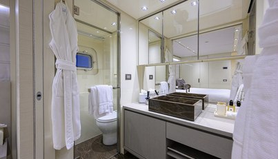 PHOENIX For Sale image95