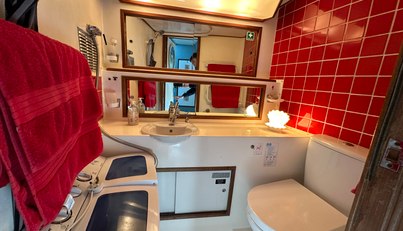 Sea Wolf For Sale image50