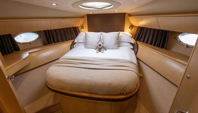 No Limits For Sale image2