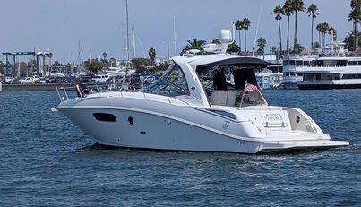 Fansea For Sale image35