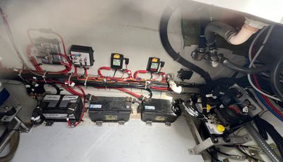 White Pearl For Sale image11