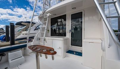 VET BILLZ For Sale image7