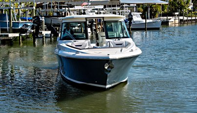 Precious Cargo For Sale image4