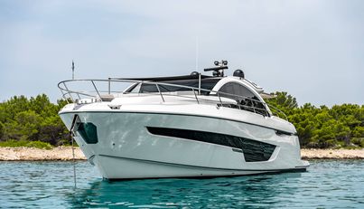 noname For Sale image3
