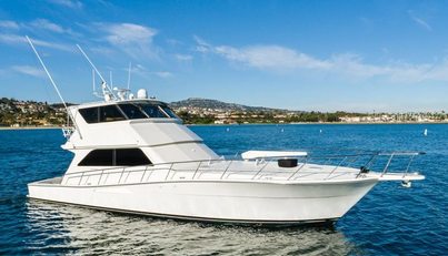 Triumph For Sale image187