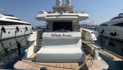 White Swan For Sale image2