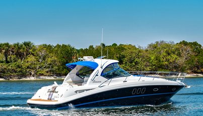 Taramina For Sale image2