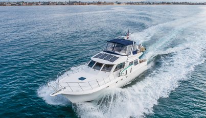 SILVIUS BRABO For Sale image12