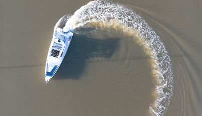 HAYLU For Sale image9