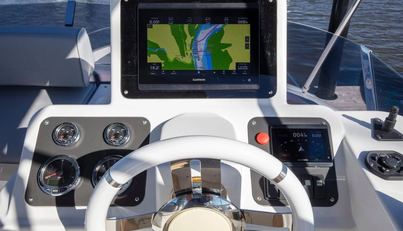 Rumble Bee For Sale image5