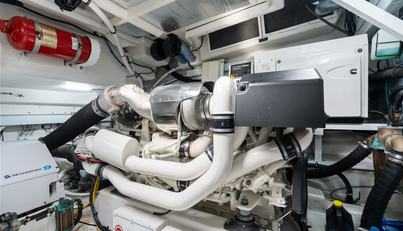 Tropical Dreamer For Sale image73