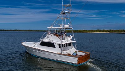 ABLE HAND For Sale image4