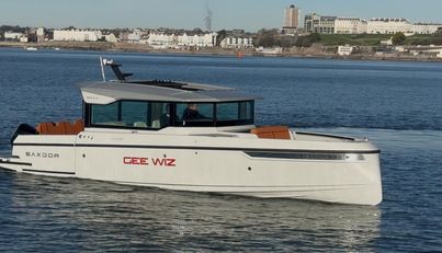 Gee Wiz For Sale image13