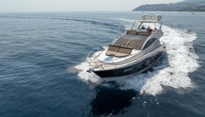 Luna of Chester For Sale image199