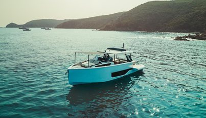 LOU PINEDOU For Sale image1