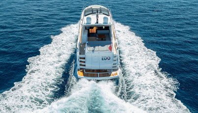 EDO I For Sale image8