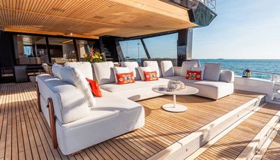 VIVACE For Sale image11