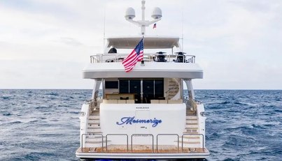 MESMERIZE For Sale image45