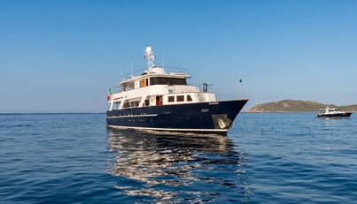 Princess Maela For Sale image3