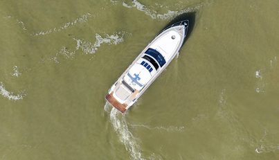 noname For Sale image76