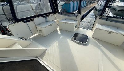 Sea Flight For Sale image22