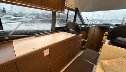 Mollie For Sale image23