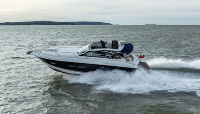 Viola III For Sale image18