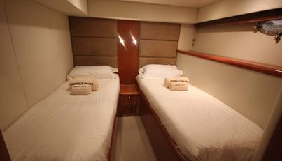 PERFECT WHITE II For Sale image18