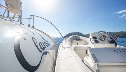 CLARITA For Sale image16