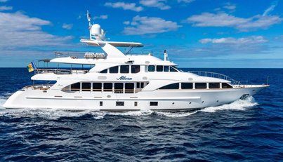 ALLORA For Sale image2