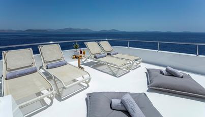 ENDLESS SUMMER For Sale image5