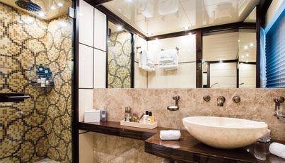 GENESIS For Sale image43