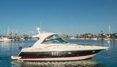 Eurybia For Sale image1