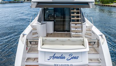 Amelia Seas For Sale image5