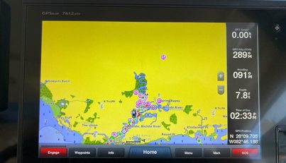 Mabe's Kid For Sale image33