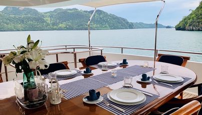 LADY AZUL For Sale image11