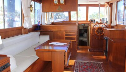 Tortuga Azul For Sale image31