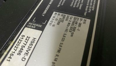 Mabe's Kid For Sale image62