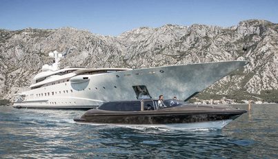 Pelorus For Sale image45