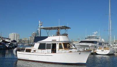 Ahoy Vey For Sale image1