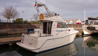 noname For Sale image3