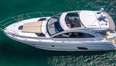 Alegria For Sale image8